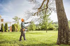 How Our Tree Care Process Works  in Crown Point, IN